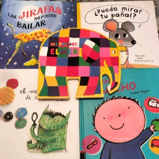 Lote álbums Ilustrados