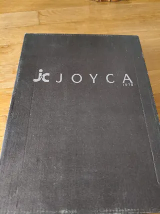 Botines de tacón con cordones