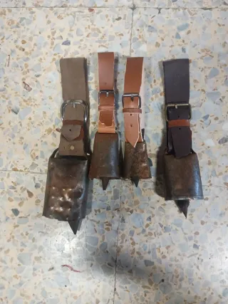 Lote 4 Cencerros con collares y hebillas