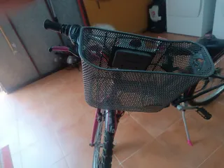 Bicicleta infantil con cesta