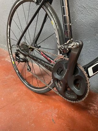 Bicicleta Olympia Egors Road Rim Carbono