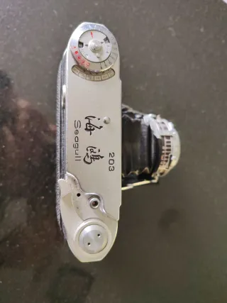 Cámara Seagull Antigua Plata/Negra