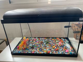 Pecera negra con adornos multicolor