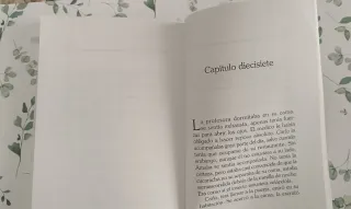 La profesora que hacía faltas de Hortografía