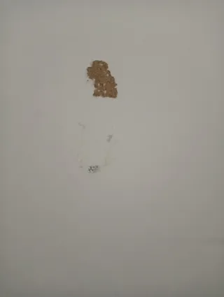 Estantería Billy Ikea Blanca