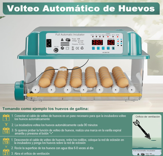 Incubadora Automática Aves 24-36 Huevos