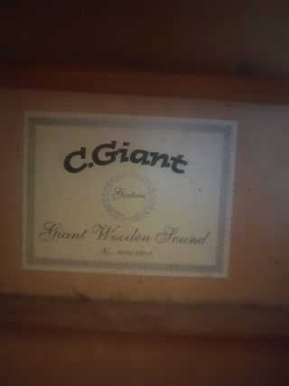Guitarra C.Giant Madera Acústica