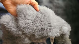 Chaqueta vaquera con cuello de pelo