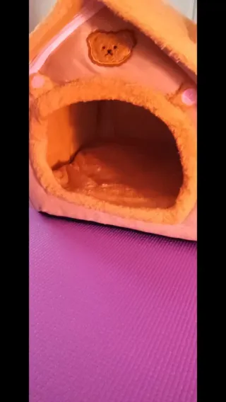 Casita/cama para mascotas pequeñas
