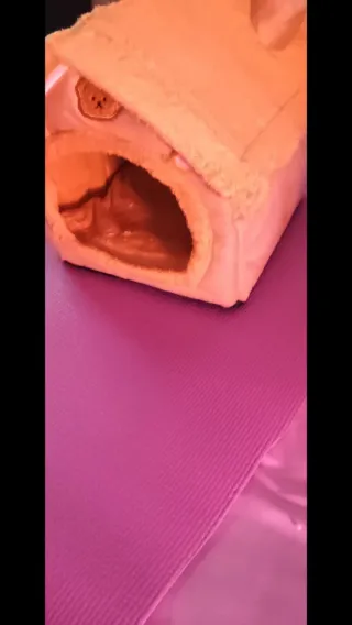 Casita/cama para mascotas pequeñas