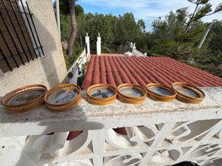 Bandejas decorativas mariposas (6 uds)