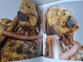 Arte en la cabeza y el cabello. ARTE DEL MUNDO