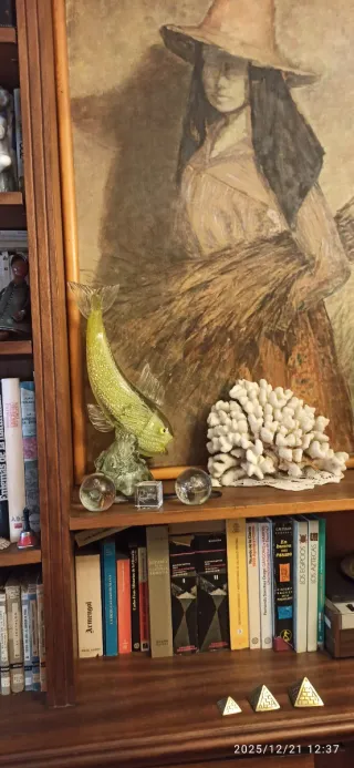 Estantería con libros y figuras