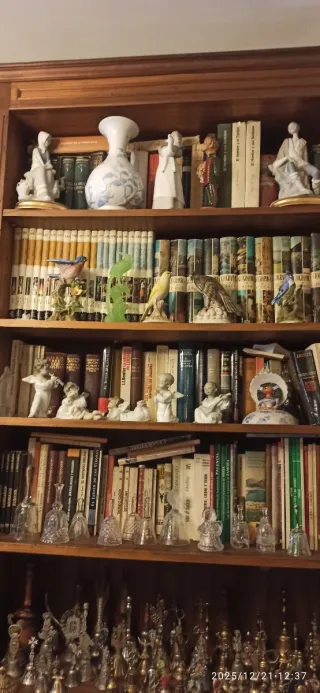 Estantería con libros y figuras