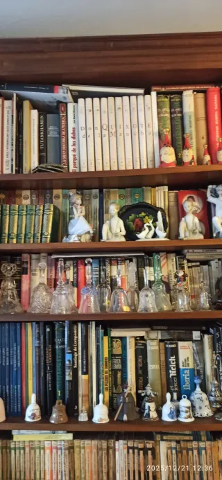 Estantería con libros y figuras
