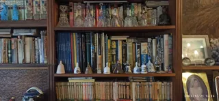 Estantería con libros y figuras