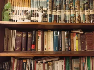 Estantería con libros y figuras