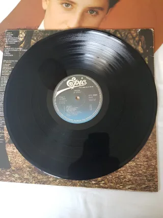 Vinilo Pecos 20 Años