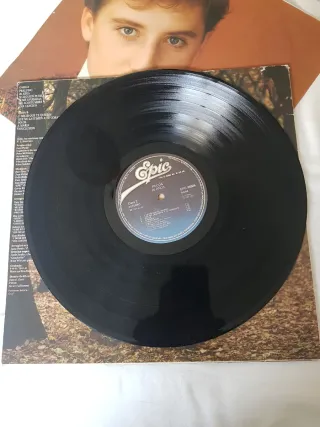 Vinilo Pecos 20 Años