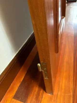 Puerta de madera, sin manilla.