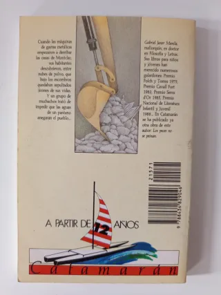 LOTE Libros juveniles Catamarán Editorial SM