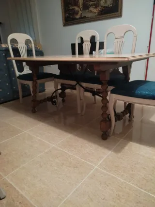 Mesa grande con 6 sillas