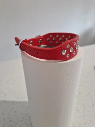 Collare rosso per cani con strass