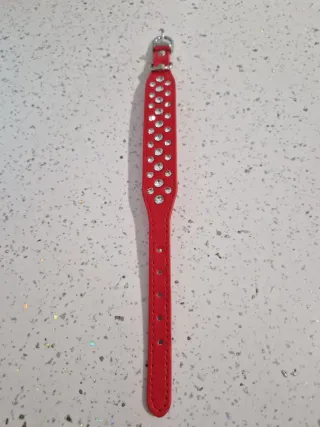 Collare rosso per cani con strass