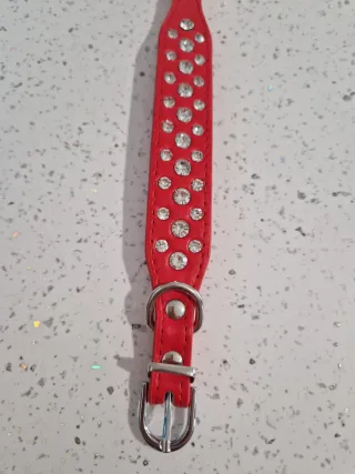 Collare rosso per cani con strass