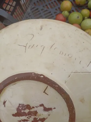 Plato cerámica esmaltada Puigdemont