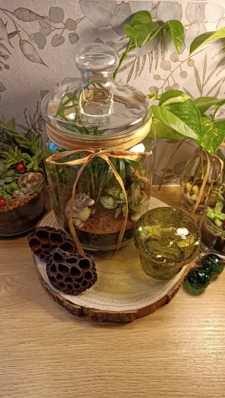 Terrario Cocodrilo. Jardín eterno