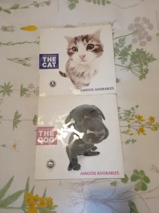 The dog y the cat. libros en español