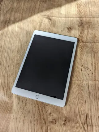 iPad 10.2 7ª Gen 32GB Wifi Plata