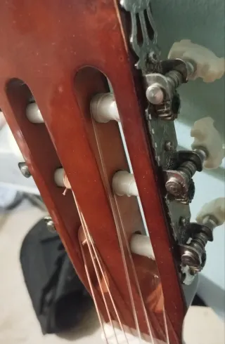 Guitarra Española Rocío N°R20 + Estuche