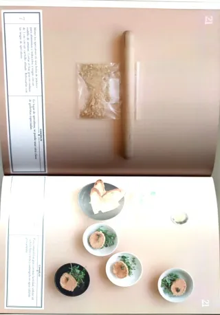 El libro de las tapas recetas ilustradas