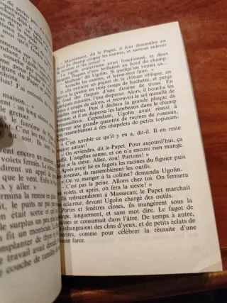 Jean De Florette (French Version)