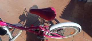 Bicicleta infantil 20 pulgadas