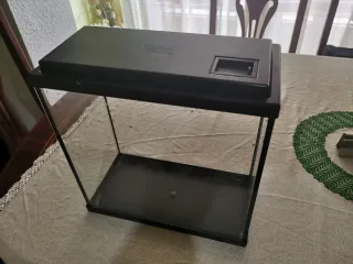 Acuario 13,5 Litros + Accesorios