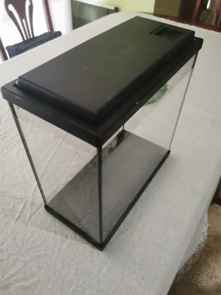 Acuario 13,5 Litros + Accesorios