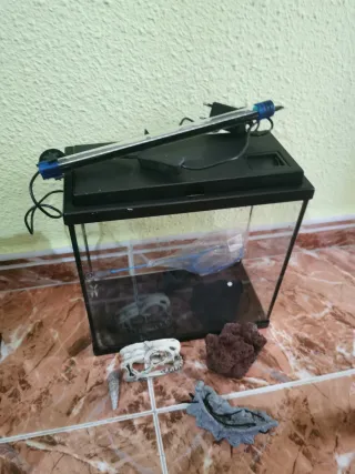 Acuario 13,5 Litros + Accesorios