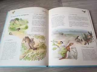 Un año con animales una historia para cada día