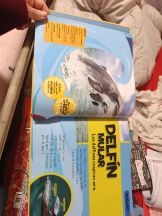 Mi primer gran libro de los animales