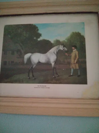 Quadro decorativo di cavallo e cavaliere