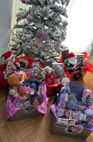 Cesta Regalo Patrulla Canina Skye Peluche