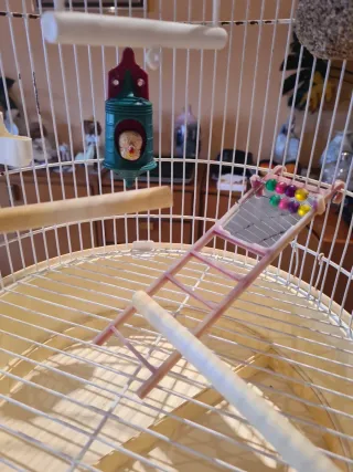 Jaula de pie para canarios blanca y amarilla