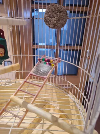 Jaula de pie para canarios blanca y amarilla