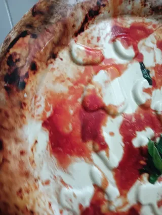 Piatto Decorativo Plastica rigida in 3d 50 cm diam