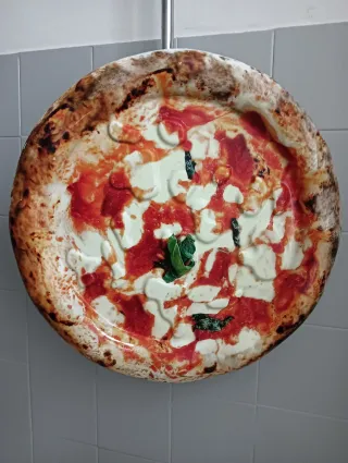 Piatto Decorativo Plastica rigida in 3d 50 cm diam