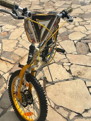 Bicicleta infantil Screamer 7