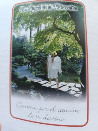 Semillas de ángel : cartas desde el corazón.